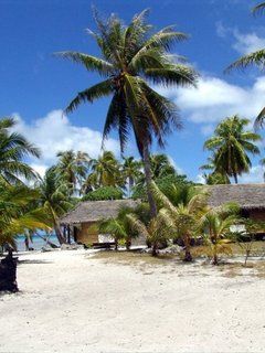 Tropisches Paradies am Strand