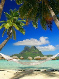 Hängematte im Tropischen Paradies