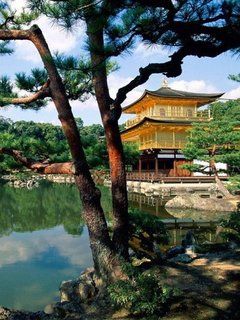 Reflexion des Goldenen Pavillons