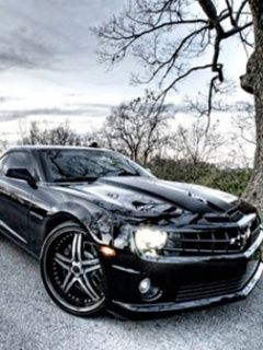 Schwarzes Camaro Sportwagen