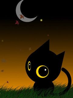 Niedliche Schwarze Katze Unter dem Mondlicht