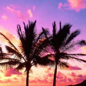 Tropischer Sonnenuntergang mit Palmen