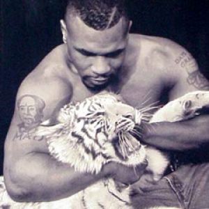 Mike Tyson mit einem Tiger