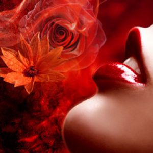 Romantische Rote Rosenkunst