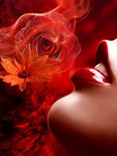 Romantische Rote Rosenkunst