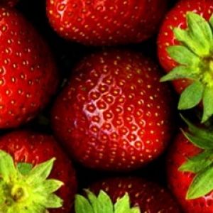 Frische Erdbeeren Hintergrund