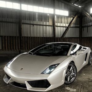 Lamborghini Gallardo im Stall