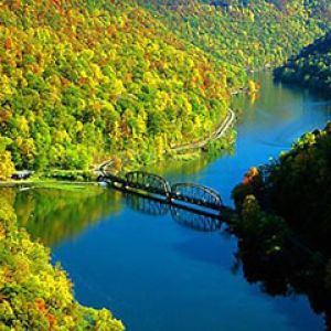 Malersicher Fluss und Herbstwald
