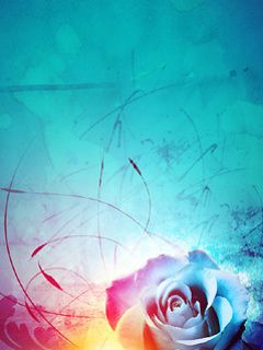Bunte Rose