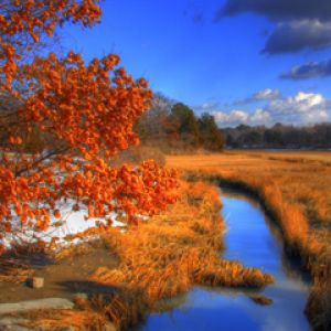 Herbstlandschaft mit Fluss