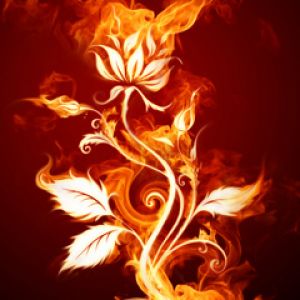 Flammenblumen Kunst