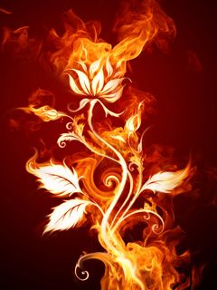 Flammenblumen Kunst