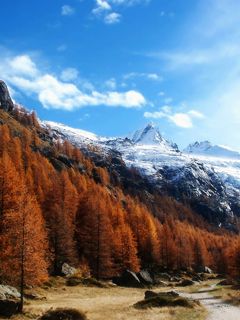 Herbstliche Berglandschaft