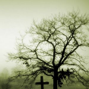 Nebelbaum und Kreuz