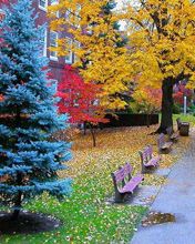 Herbstparklandschaft