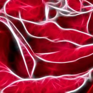Abstraktes Rotes Blumenmuster