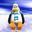 Niedlicher Pinguin im Winter