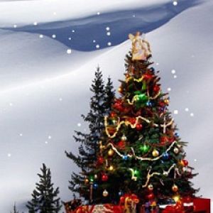 Weihnachtsbaum im Schnee