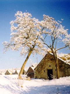 Verschneite Winterlandschaft