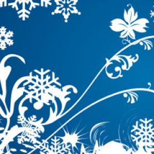 Winterliche Schneeflocken und Blumenmuster