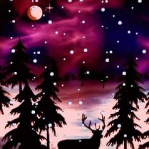 Winternacht mit Hirsch