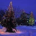 Weihnachtsbaum in Winterwunderland