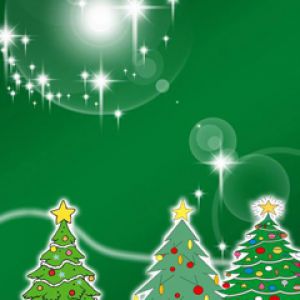 Festliche Weihnachtsbäume