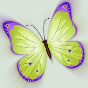 Bunte Schmetterlingsillustration