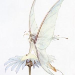 Fantasie Fee auf Blume