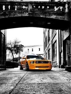 Leuchtend Oranger Mustang