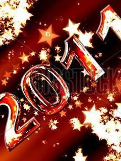 Neujahrsfeier 2011