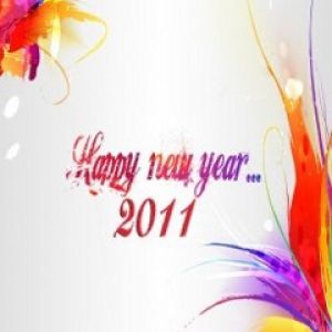 Neujahrsfeier 2011