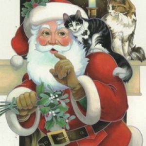 Weihnachtsmann mit Katzen