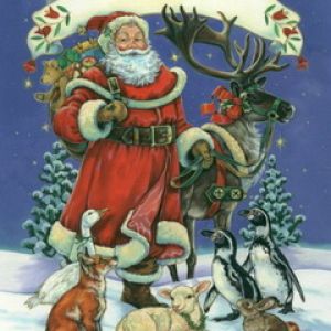 Weihnachtsmann mit Tieren
