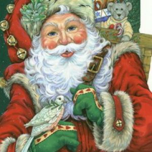 Weihnachtsmann mit Geschenken