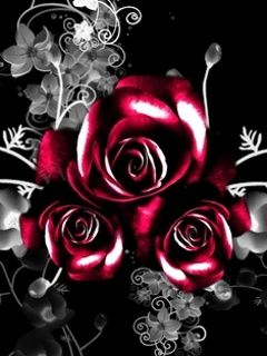 Elegante Rote Rosen