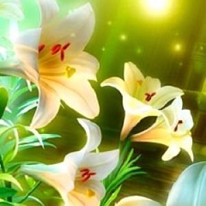 Schöne Weiße Lilien