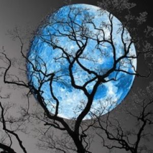 Blaue Mond und Silhouetten von Bäumen