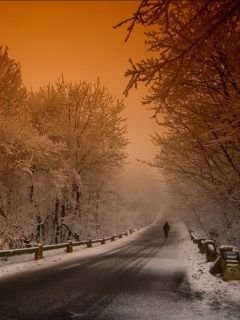 Winterlandschaft