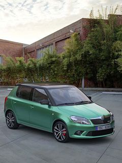 Grünes Skoda Auto