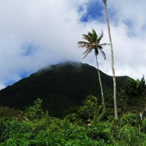 Tropische Berglandschaft