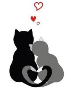 Niedliche Katzen Verliebt