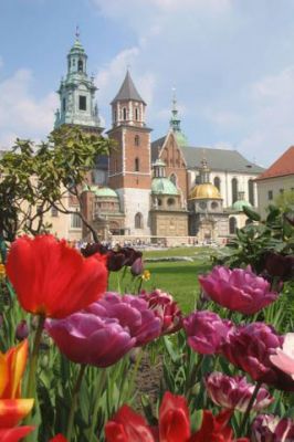 Krakauer Kathedrale und Blumen