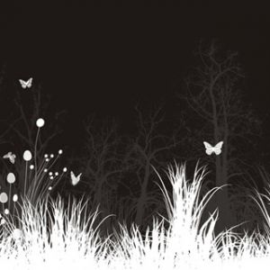 Elegante Schwarz-Weiß-Natur