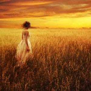 Sonnenuntergang auf einem Goldenen Feld