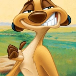 Timon aus Der König der Löwen