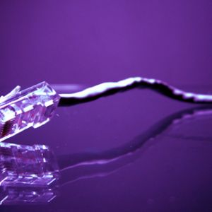 Lila Ethernet-Kabel