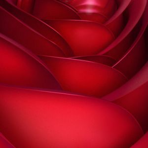 Abstraktes Hintergrundbild Rote Rose