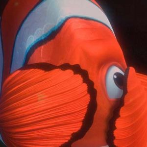 Clownfisch Unterwasserszene