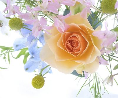 Schöne Blumenarrangement